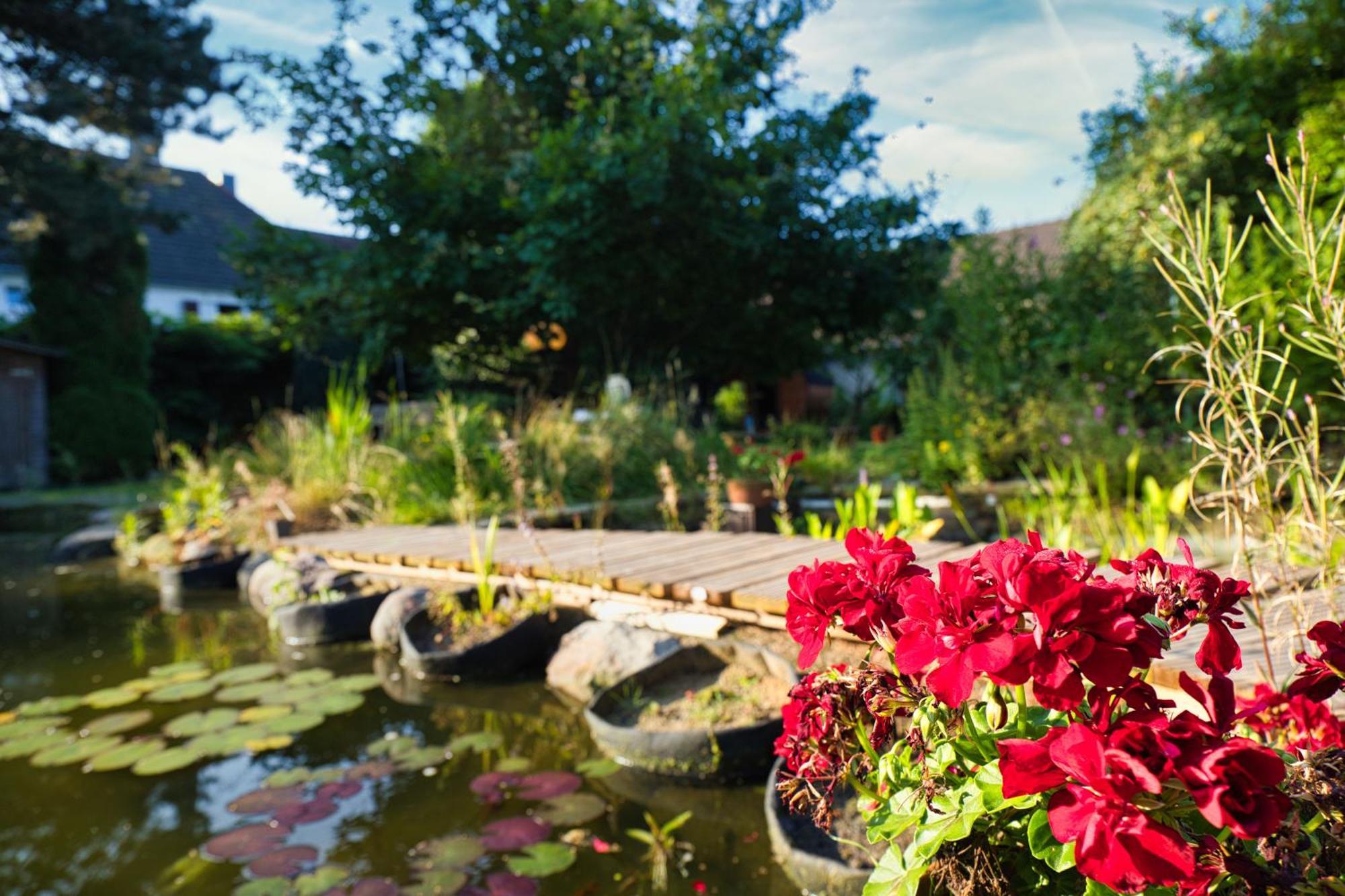 Gasthaus Benke, Fachwerkhaus In Westfalen ดาทเทล์น ภายนอก รูปภาพ