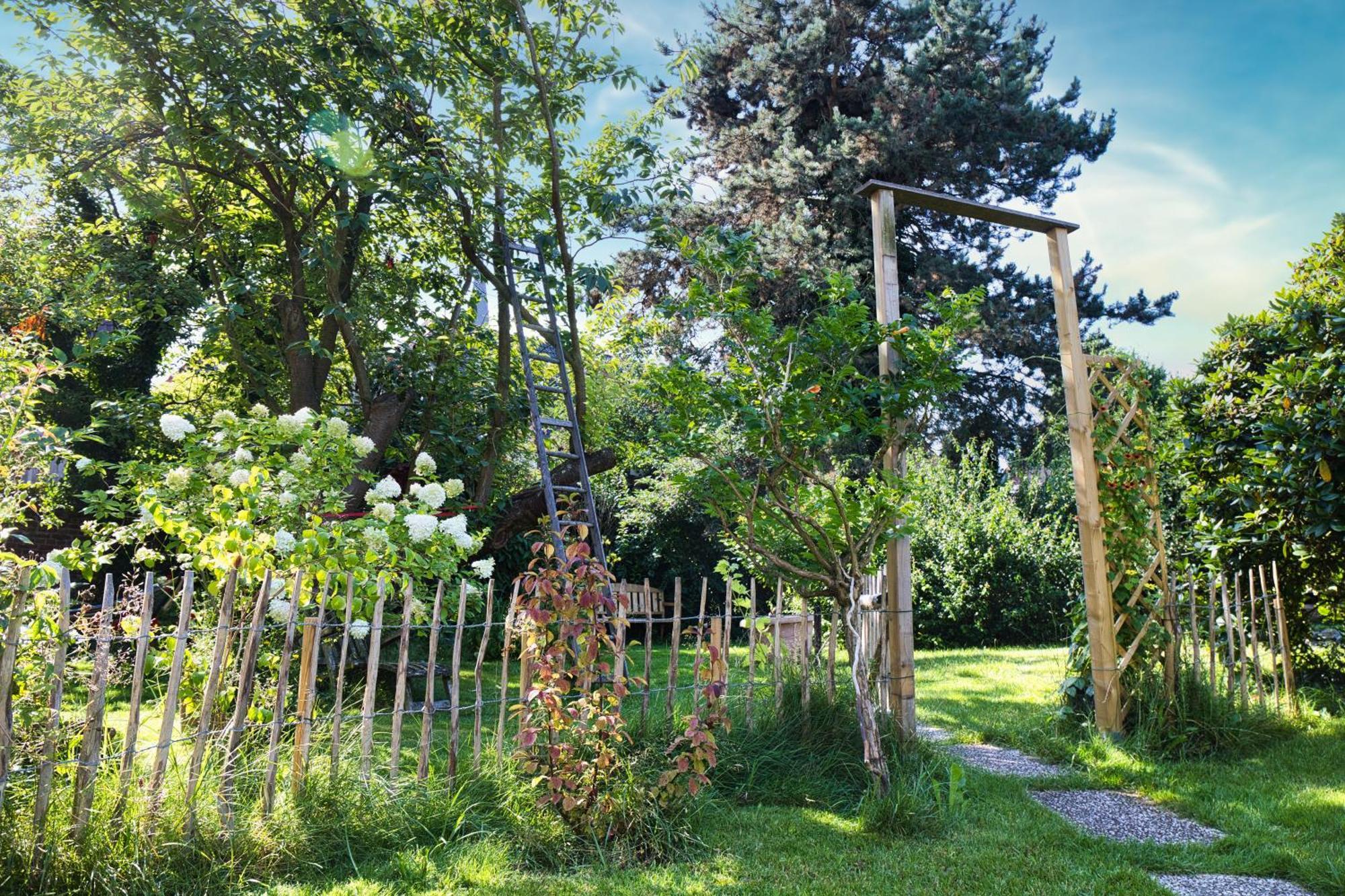 Gasthaus Benke, Fachwerkhaus In Westfalen ดาทเทล์น ภายนอก รูปภาพ