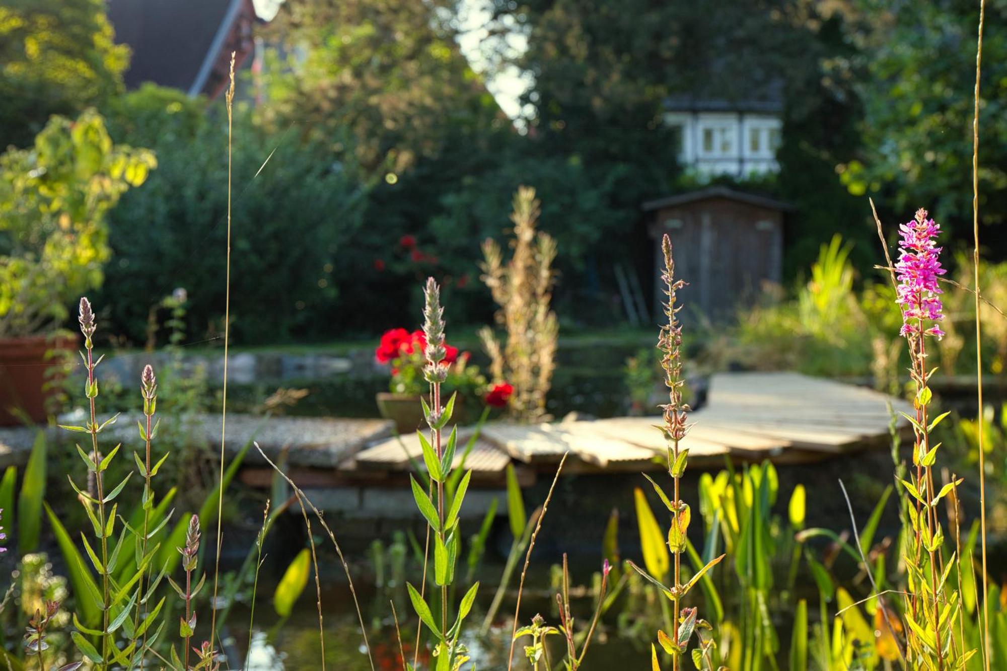 Gasthaus Benke, Fachwerkhaus In Westfalen ดาทเทล์น ภายนอก รูปภาพ
